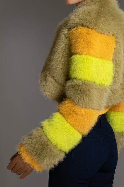 Multicolor Faux Fur Cropped Jacket