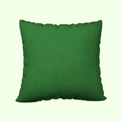 Green Birds Velvet Pillow Cushion